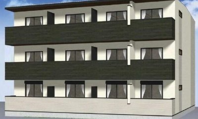 エピーメロン亀青