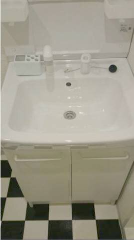 リヴシティ向島ツリービュー